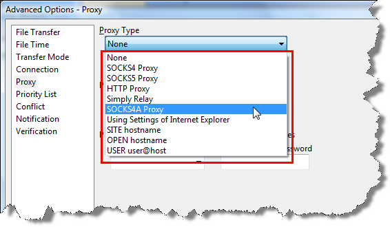 Proxy options